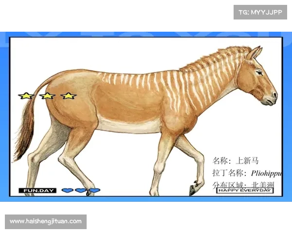 马的脚趾结构与其他动物比较的五大特点及其进化意义分析