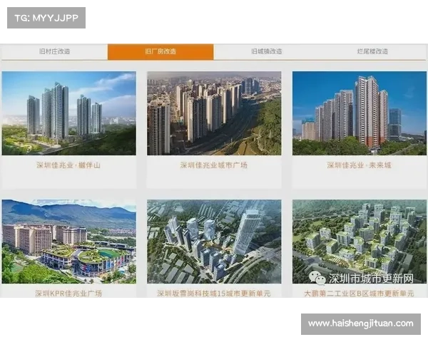 冰洁师技能五大关键应用解析与实践探索