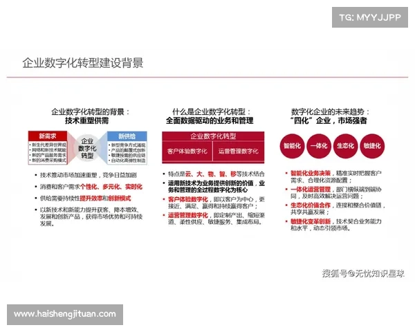 青云辅助企业数字化转型，开创未来商业新纪元