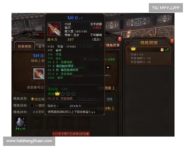 全面提升斗战神龙女刺客战力的加点策略与实用建议