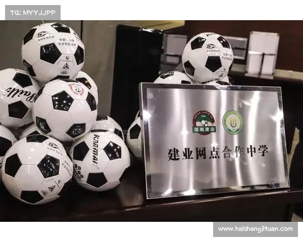 从多维视角探析建业俱乐部的组织性质与社会功能定位研究